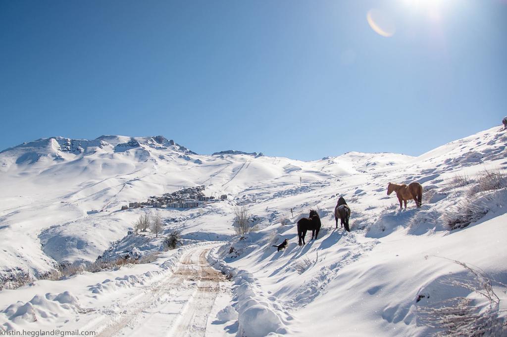 Lodge Cordillera Valle Nevado Luaran gambar
